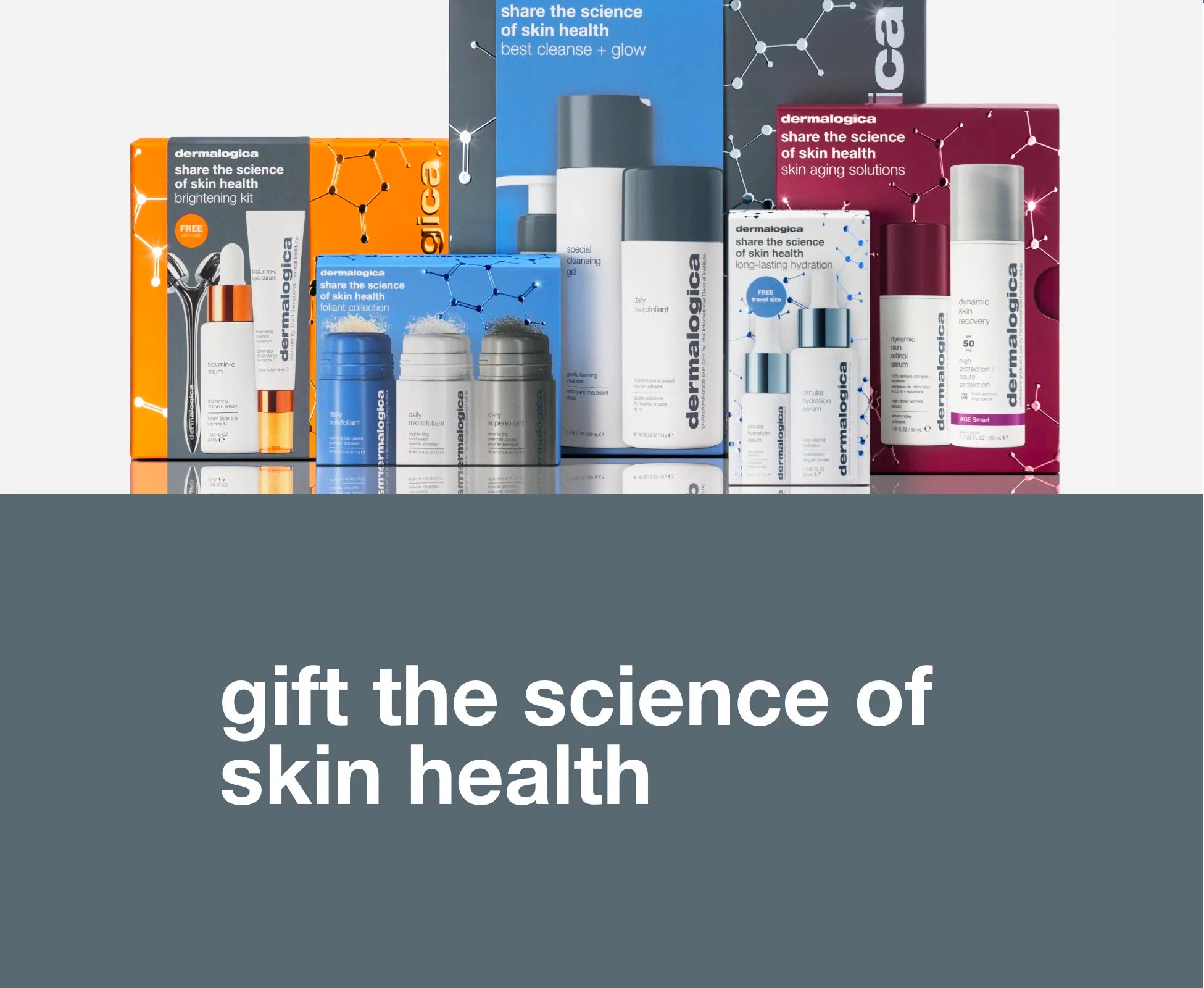 Dermalogica Gift Guide